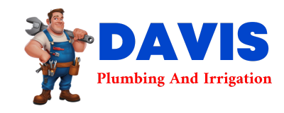 Trusted plumber in CURRAN